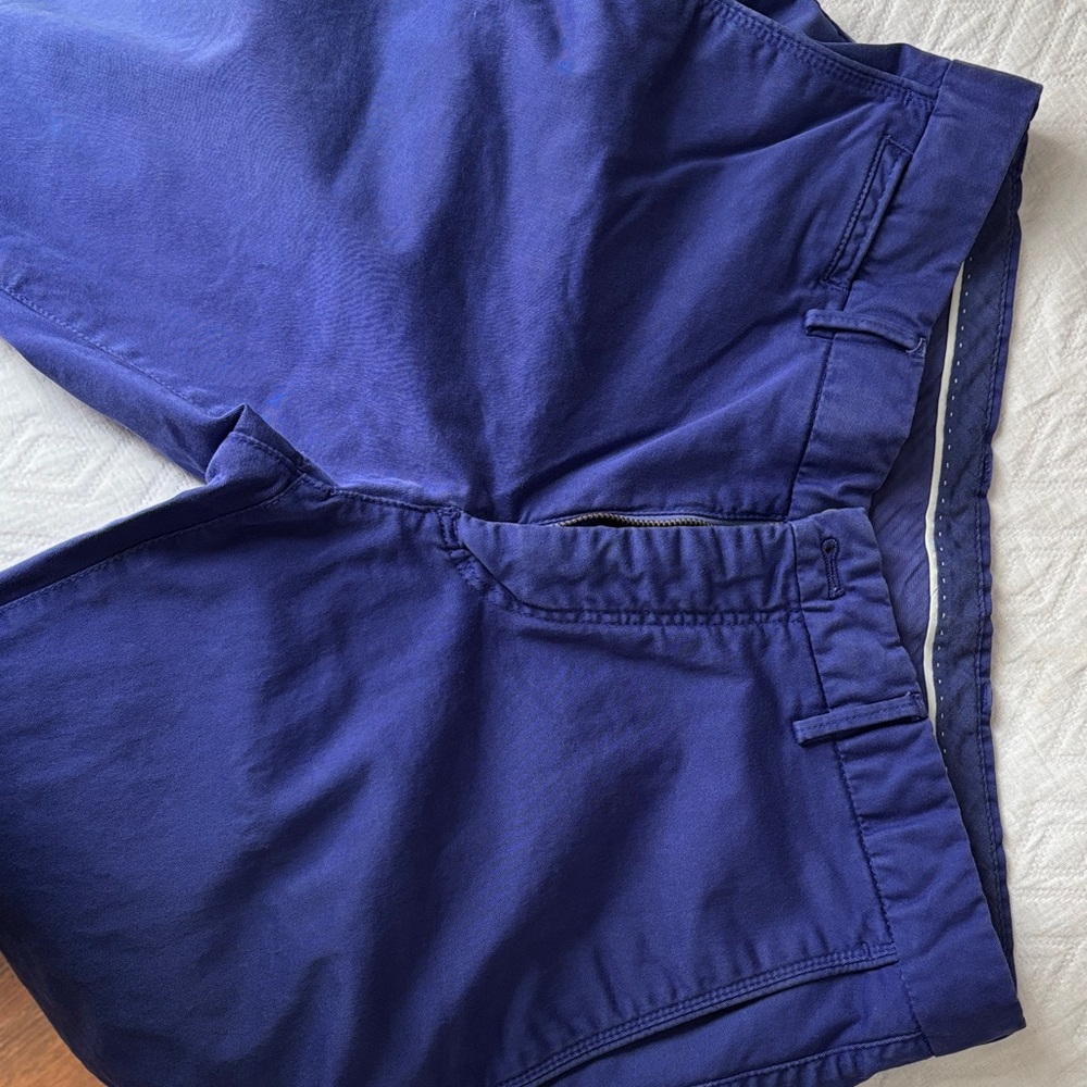 Massimo Dutti Slim Fit Blue pants